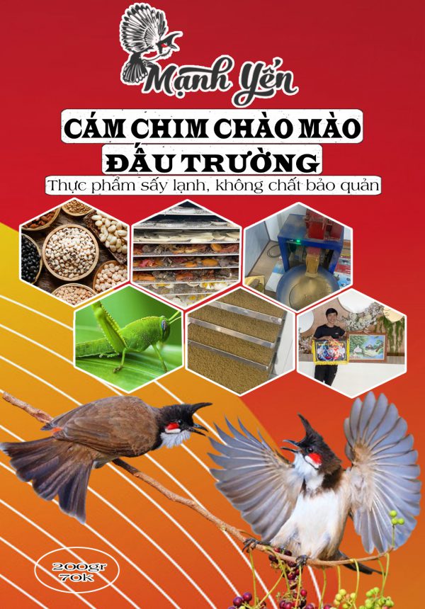 cám đấu