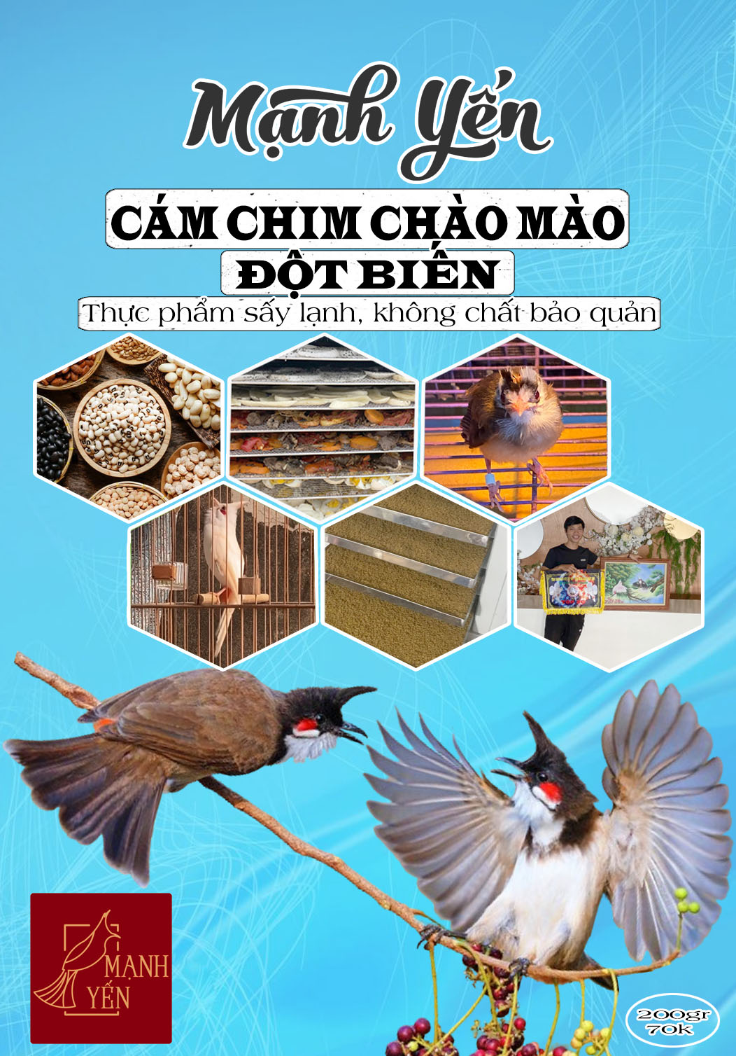 cám chim chào mào đột biến